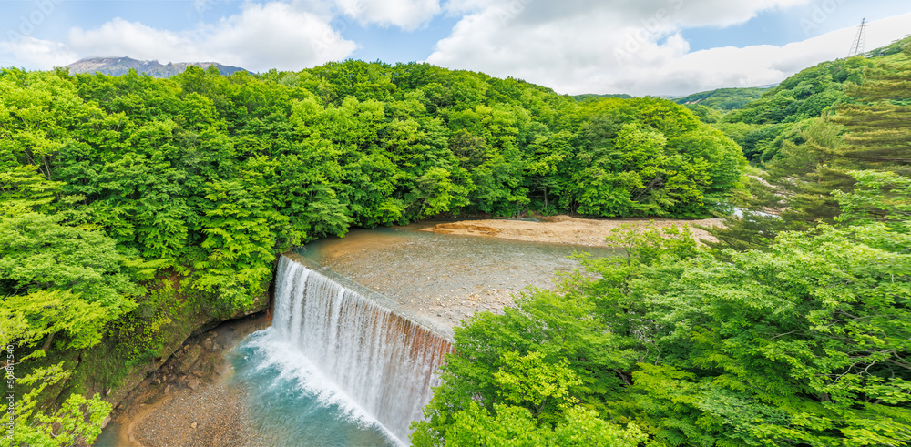 山間部を流れる綺麗な川と新緑の木