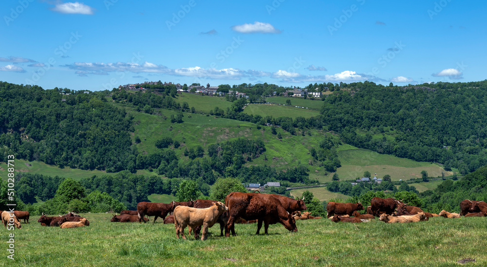 Salers村Cantal aux alentours山的工资是Salers村的工资