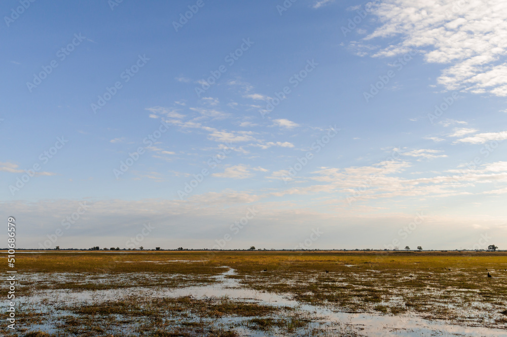 Landscape at the Okavango, Africa / Landscape at the Okavango River, Namibia Southern Africa.