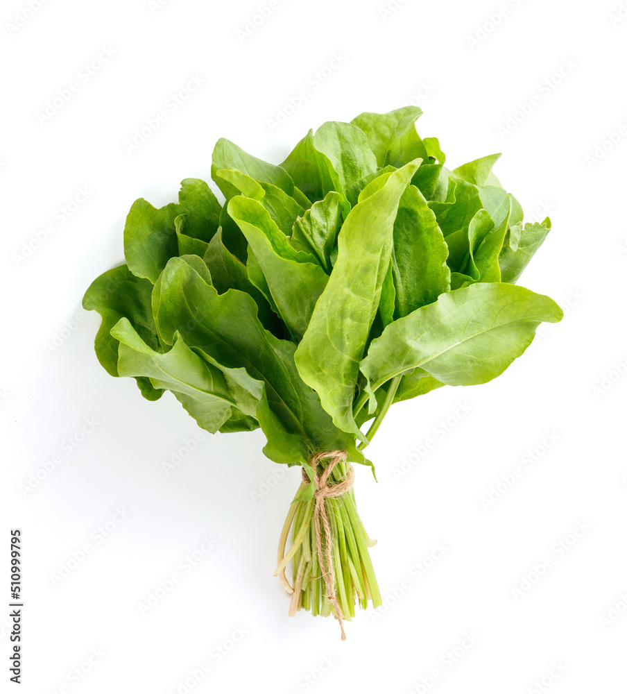 Sorrel herbs isolated. Top view of fresh sorrel on white background.