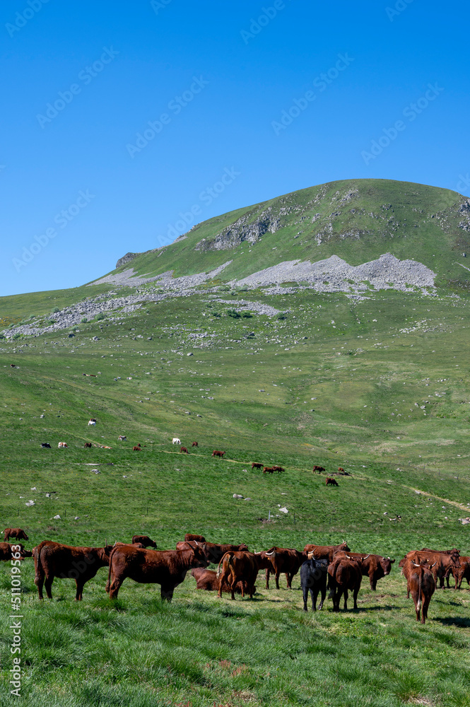 Paysage pittoresque des Monts Dore sur le massif du Sancy autour du col de la Geneste au printemps d