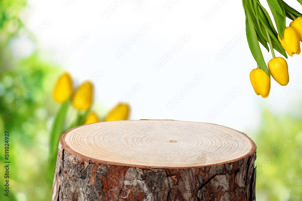 Empty wooden log a product podium for Dessert concept.