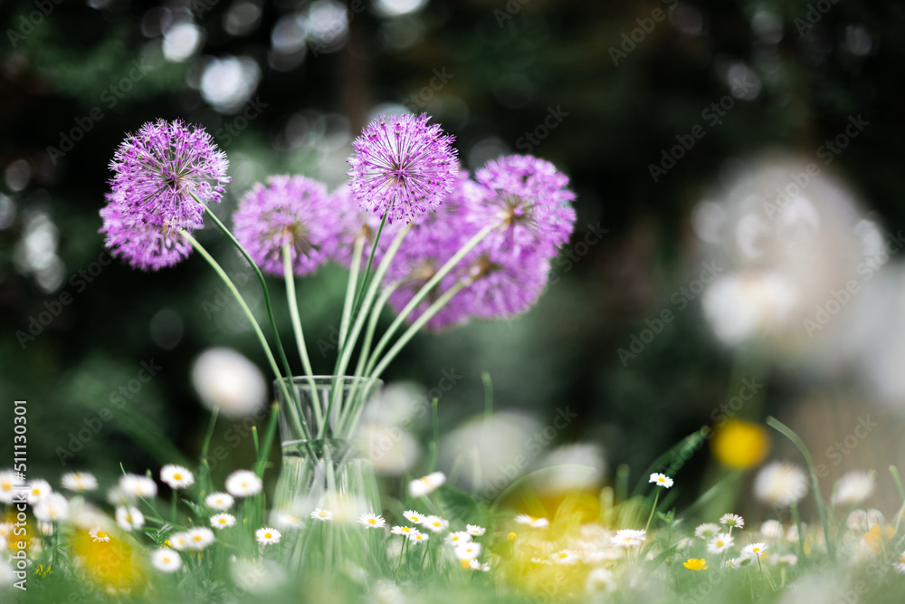 Purple flowers bouquet in glass vase on forest meadow covered by blossom wildflowers. Natural beauty