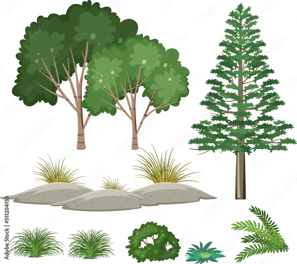 Isolated trees and nature objects set