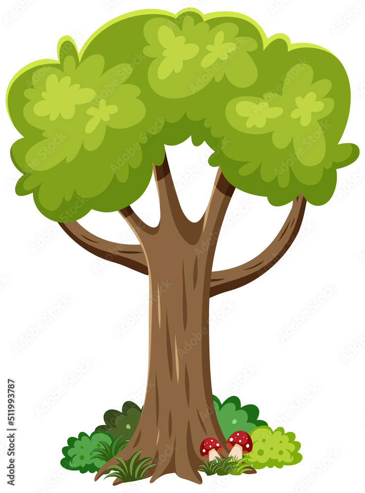 Isolated tree on white background