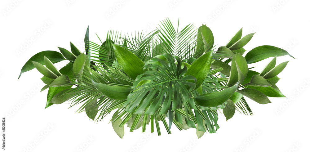 Collage with green tropical leaves on white background