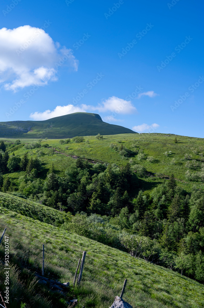 Paysage de printemps en Auvergne dans les Monts Dore et le massif du Sancy en France autour du col d