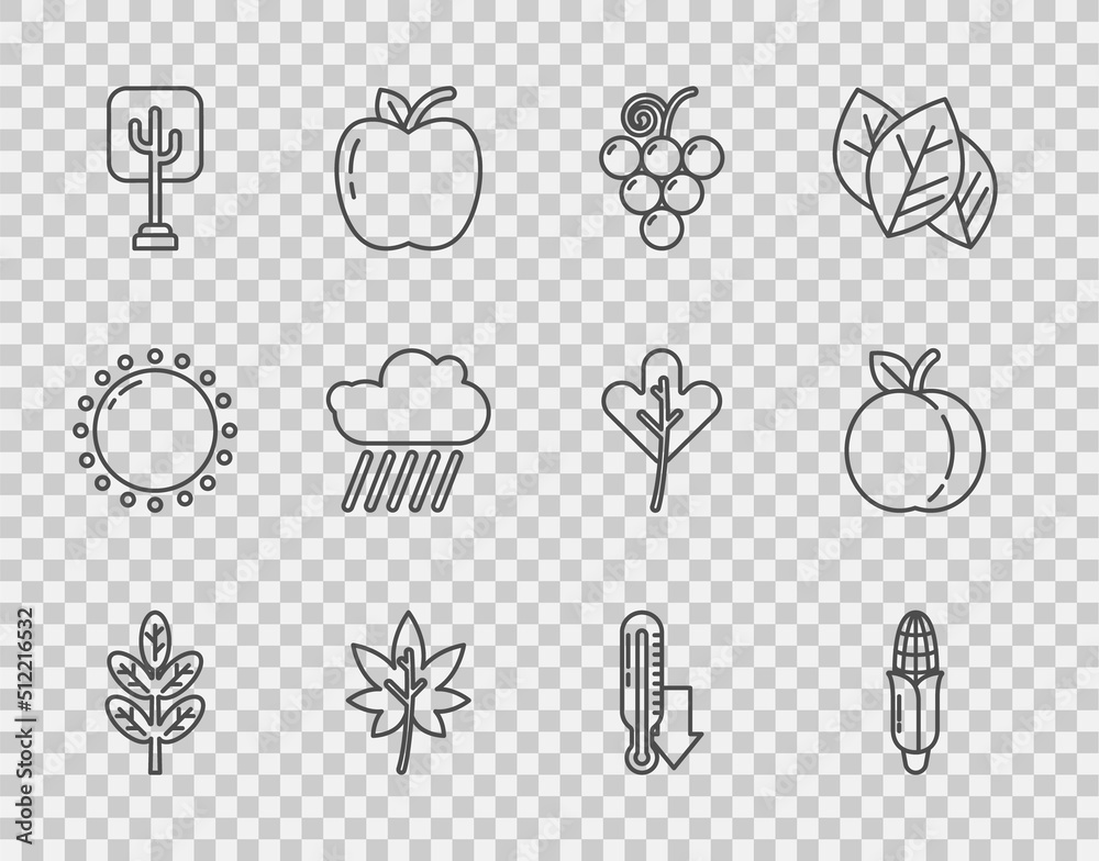 Set line Leaf or leaves, Corn, Grape fruit, Tree, Cloud with rain, Meteorology thermometer and Peach