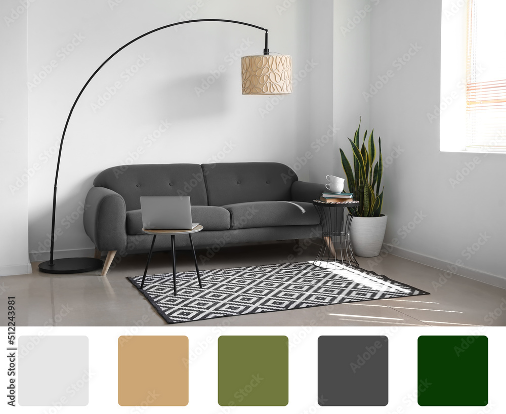 Interior of modern living room with comfortable sofa. Different color patterns