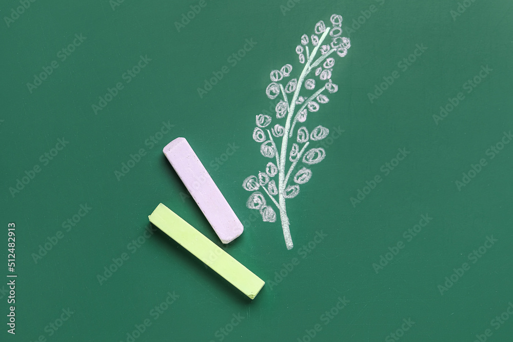 Drawn plant branch with chalks on school blackboard