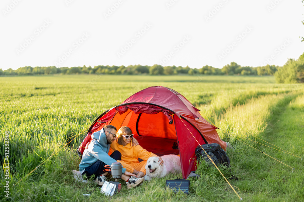 年轻夫妇在绿地上的露营地做饭，夏天和狗一起度过。充电