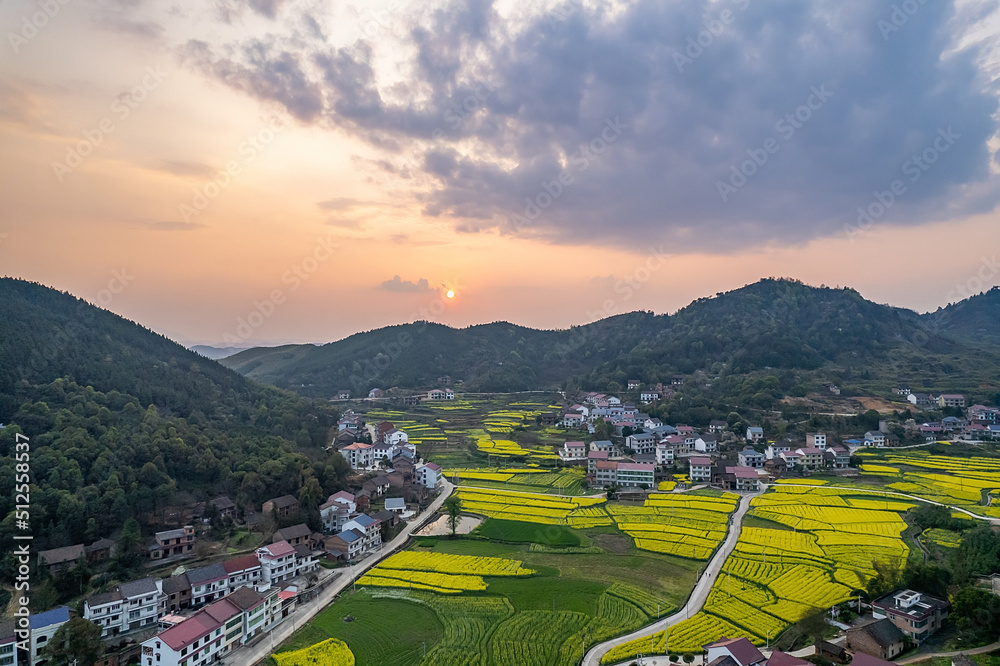 美丽的山村，油菜花在春天绽放