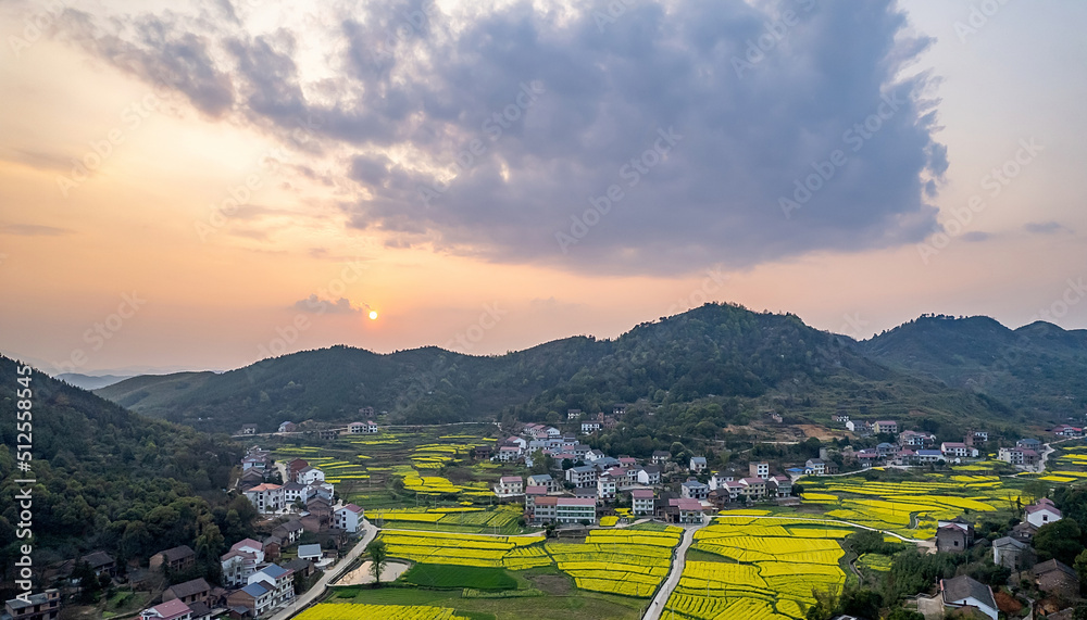 美丽的山村，油菜花在春天绽放