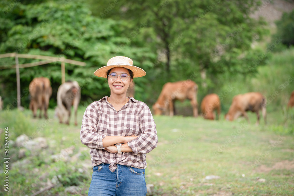 Female Woman worker posing on a cow dairy farm out door ranch a cowshed farm