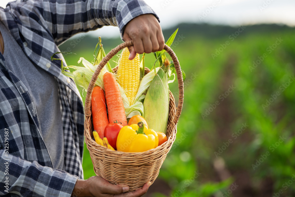 Beautiful young brunette Portrait Famer Woman hand holding Vegetables in the bamboo basket on green 