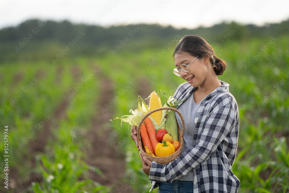 美丽的年轻深色头发肖像名人女人在绿色的竹篮里手捧蔬菜