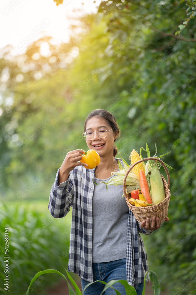 美丽的年轻深色头发肖像名人女人在绿色的竹篮里手捧蔬菜