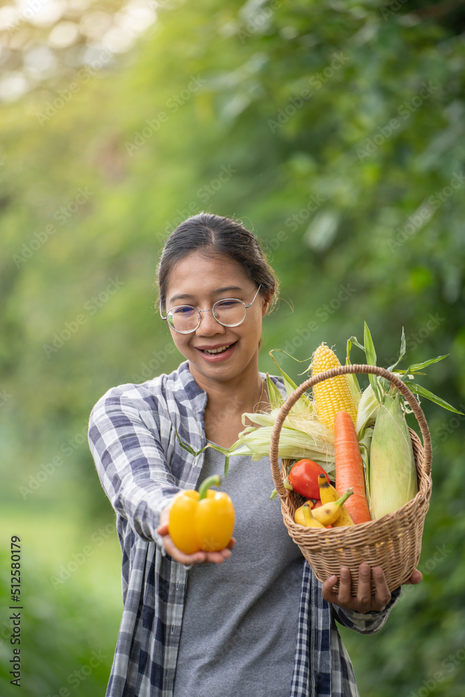 美丽的年轻深色头发肖像名人女人在绿色的竹篮里手捧蔬菜