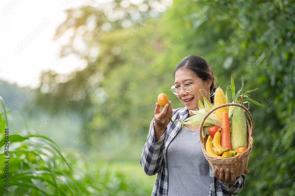 Beautiful young brunette Portrait Famer Woman hand holding Vegetables in the bamboo basket on green 