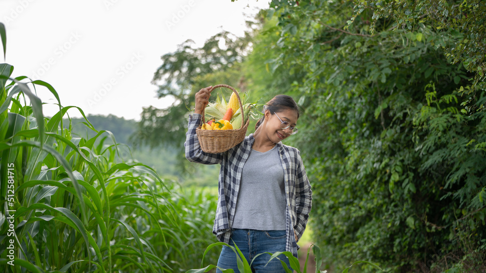 美丽的年轻深色头发肖像名人女人在绿色的竹篮里手捧蔬菜