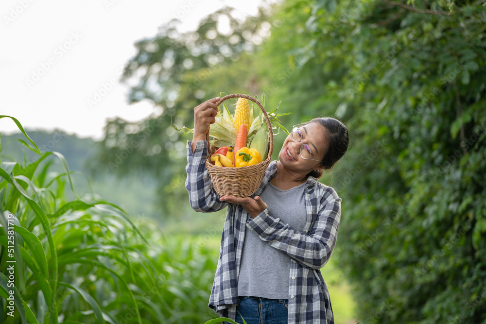 美丽的年轻深色头发肖像名人女人在绿色的竹篮里手捧蔬菜