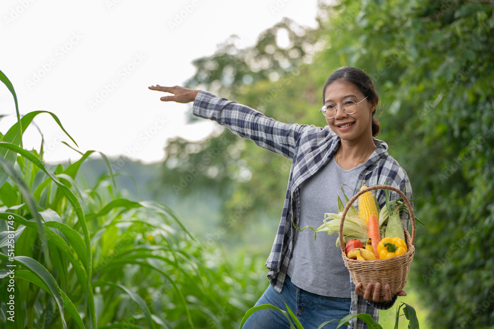 美丽的年轻深色头发肖像名人女人在绿色的竹篮里手捧蔬菜