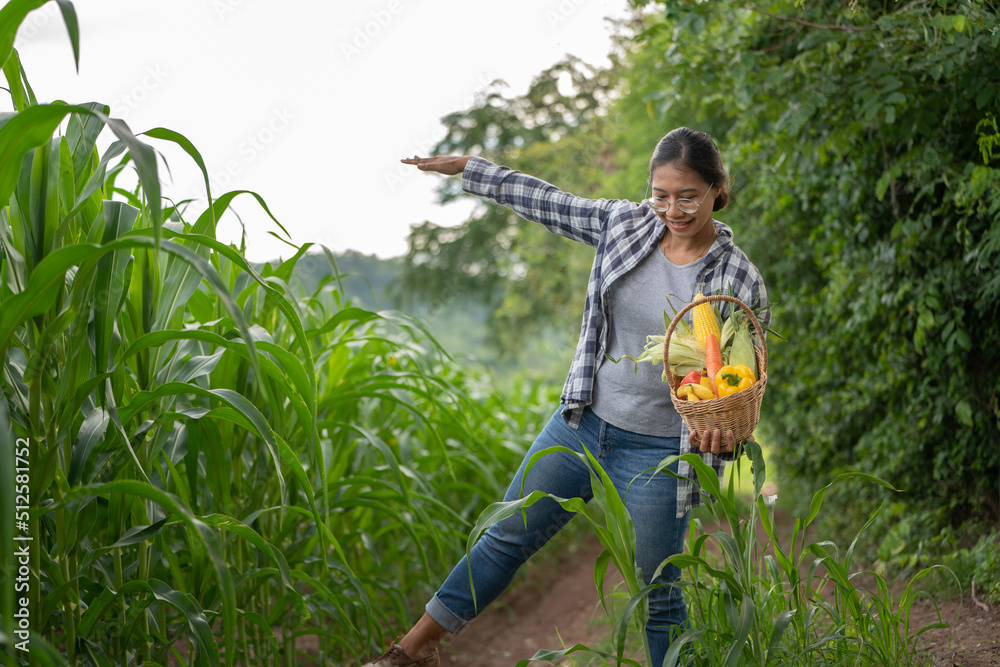 美丽的年轻深色头发肖像名人女人在绿色的竹篮里手捧蔬菜