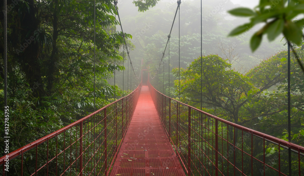 热带雨林悬索桥