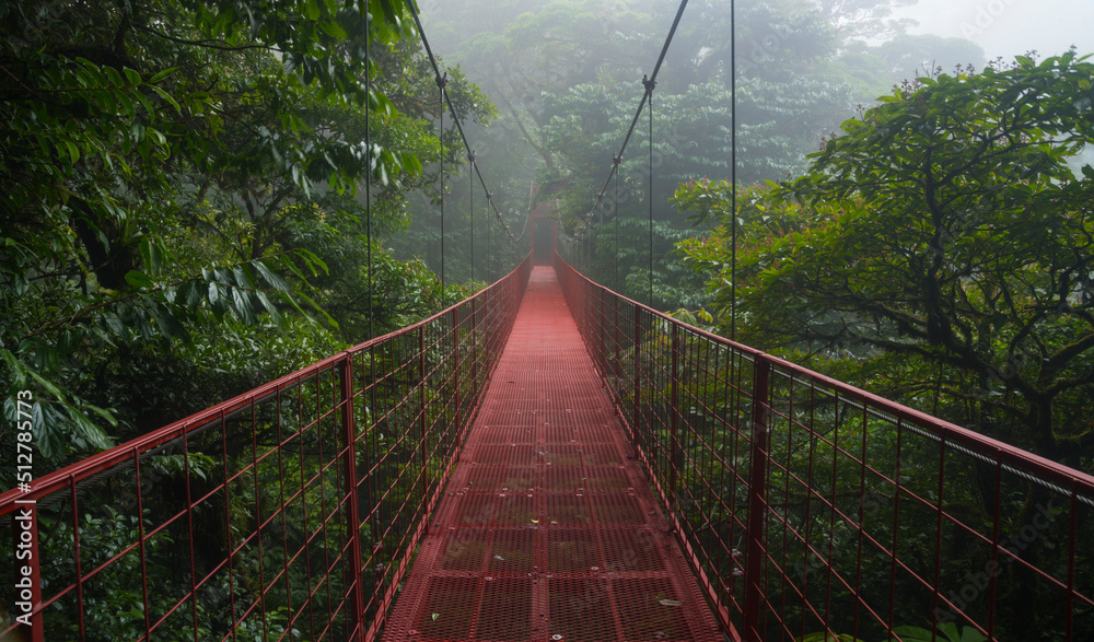 热带雨林悬索桥