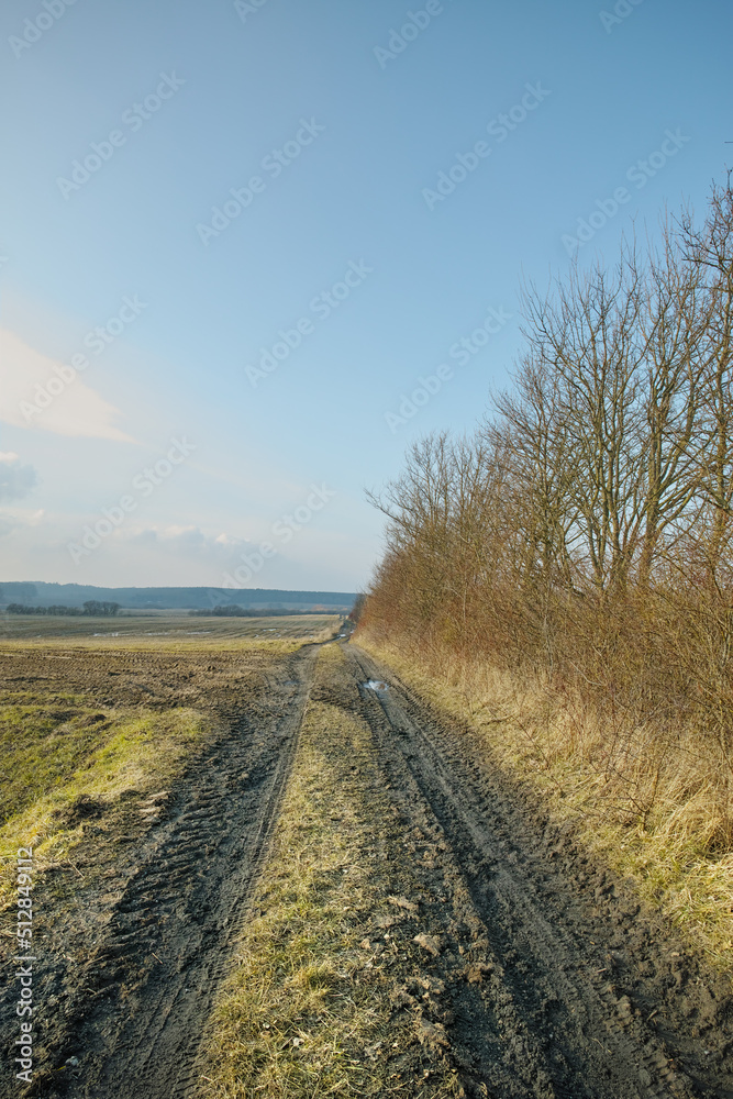 丹麦草地附近乡村泥泞的土路。消失的全景