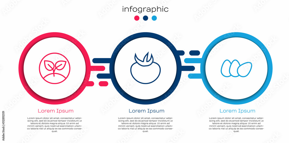 设定生产线发芽、番茄和鸡蛋。商业信息图模板。矢量