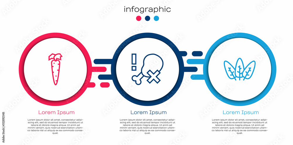 设定线胡萝卜，无鸡腿和叶子。商业信息图模板。矢量