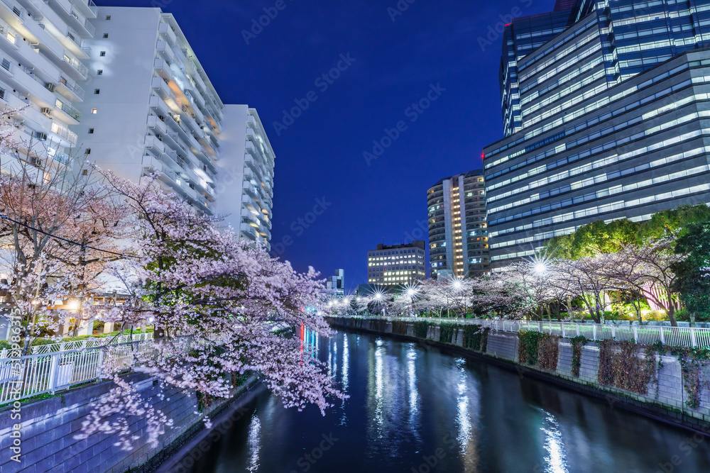 満開の夜桜が綺麗な目黒川沿いのビル群