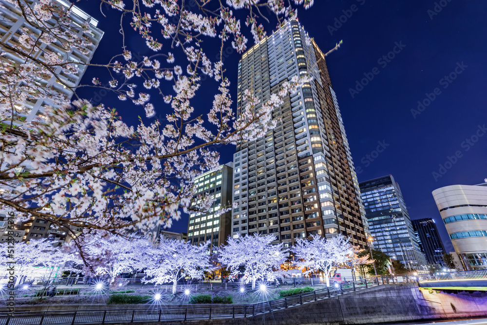 満開の夜桜が綺麗な目黒川沿いのビル群