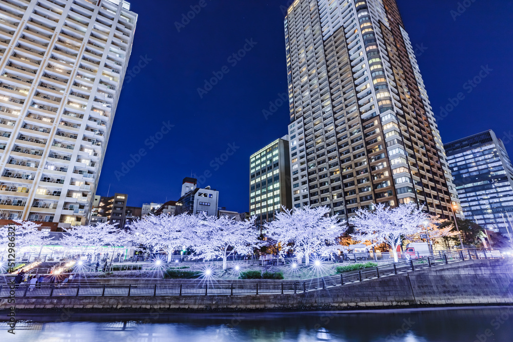 満開の夜桜が綺麗な目黒川沿いのビル群