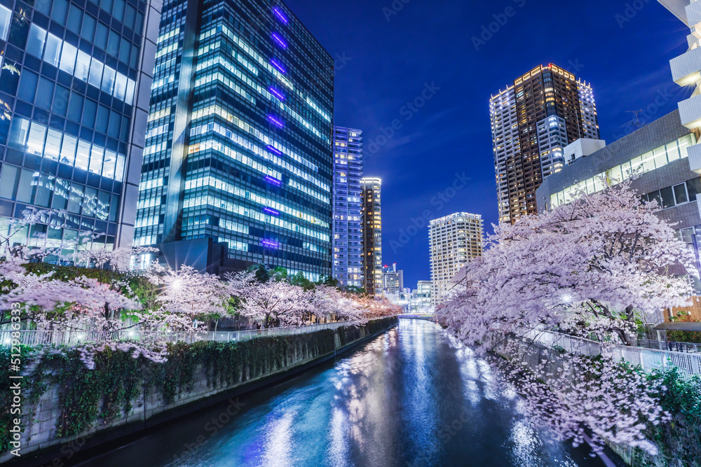 満開の夜桜が綺麗な目黒川沿いのビル群