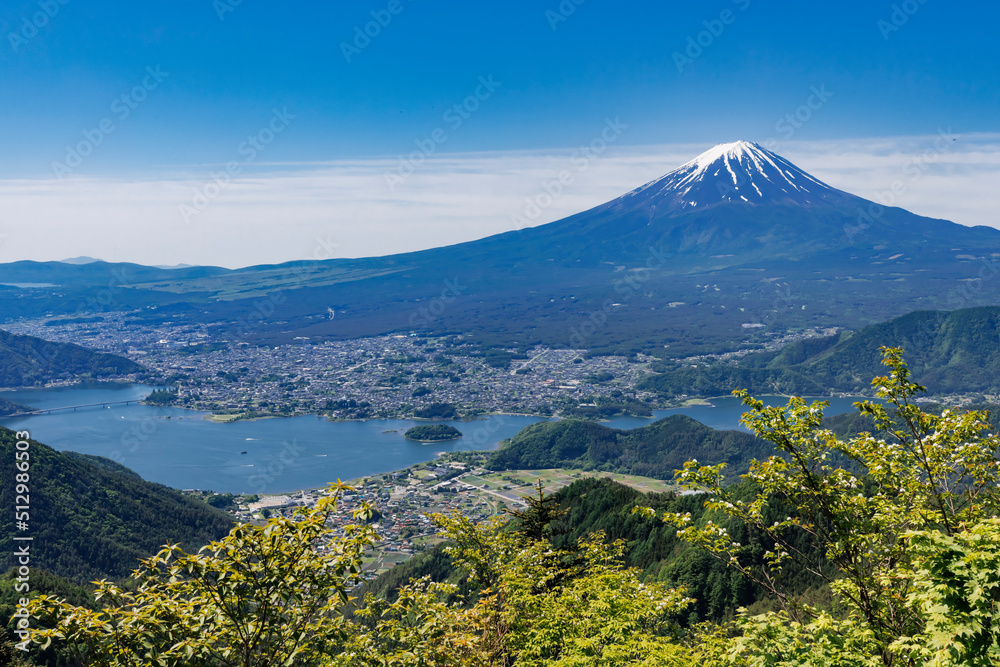 新緑が綺麗な新道峠から見える富士山