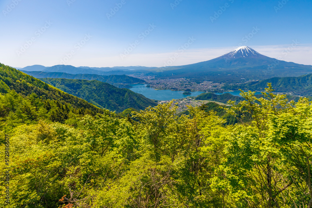 新緑が綺麗な新道峠から見える富士山