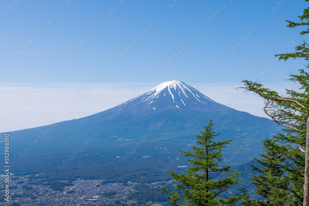 新緑が綺麗な新道峠から見える富士山