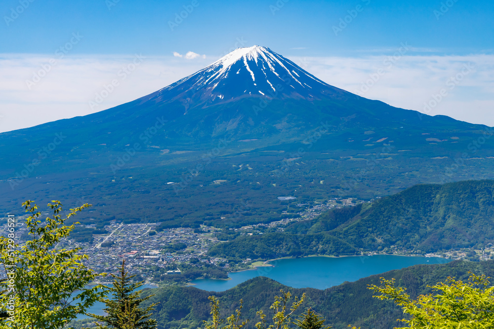 新緑が綺麗な新道峠から見える富士山