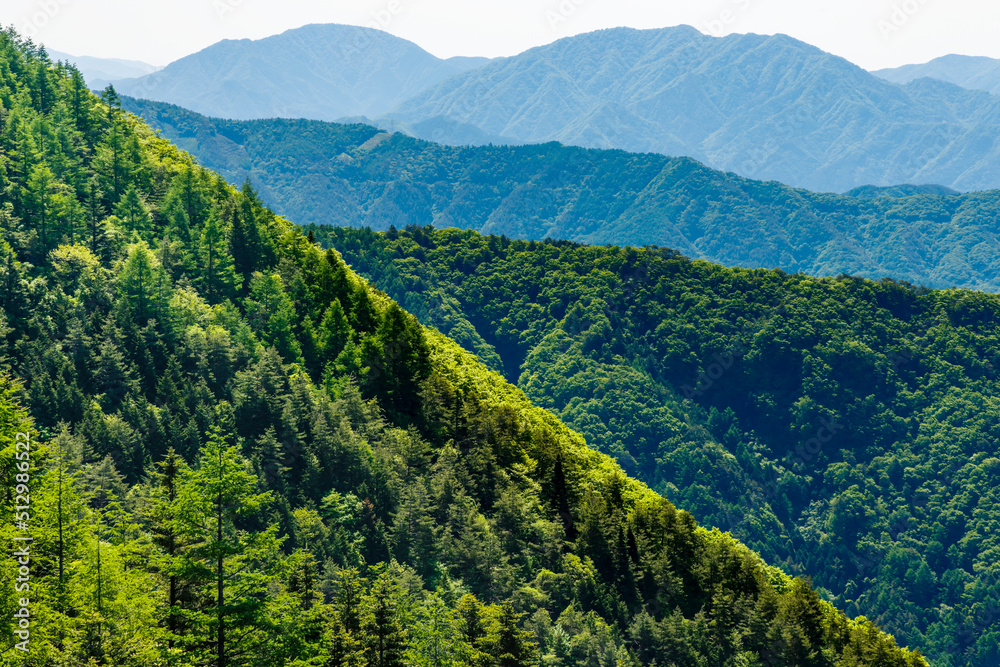 新緑が綺麗な木と遠くに見える山脈