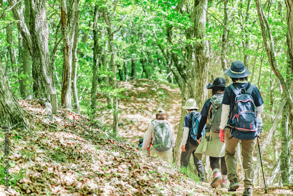 新緑の登山道をハイキングする人達