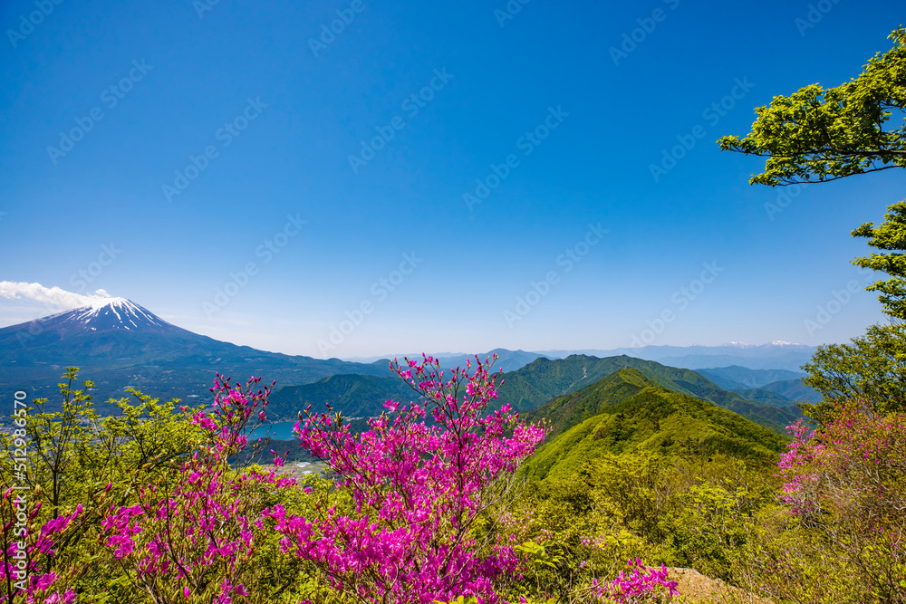 つつじが綺麗な黒岳展望台から見る風景