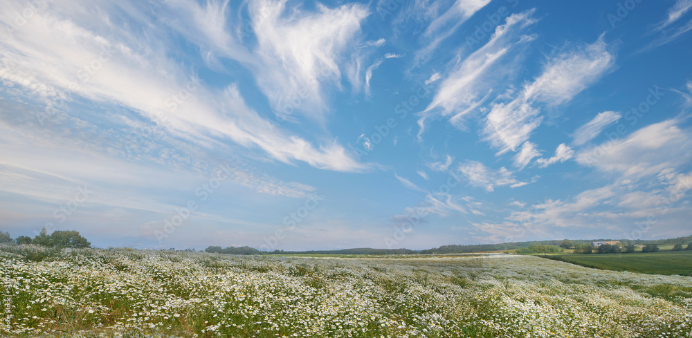 郁郁葱葱的绿色草地和蓝天中蓬松的白云的美丽风景。Cl