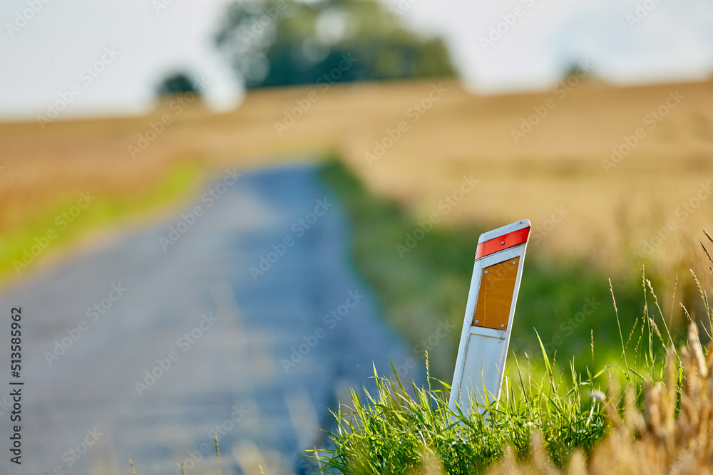 道路和绿色和棕色草地旁边的路边反光镜特写。道路旁边的轮廓