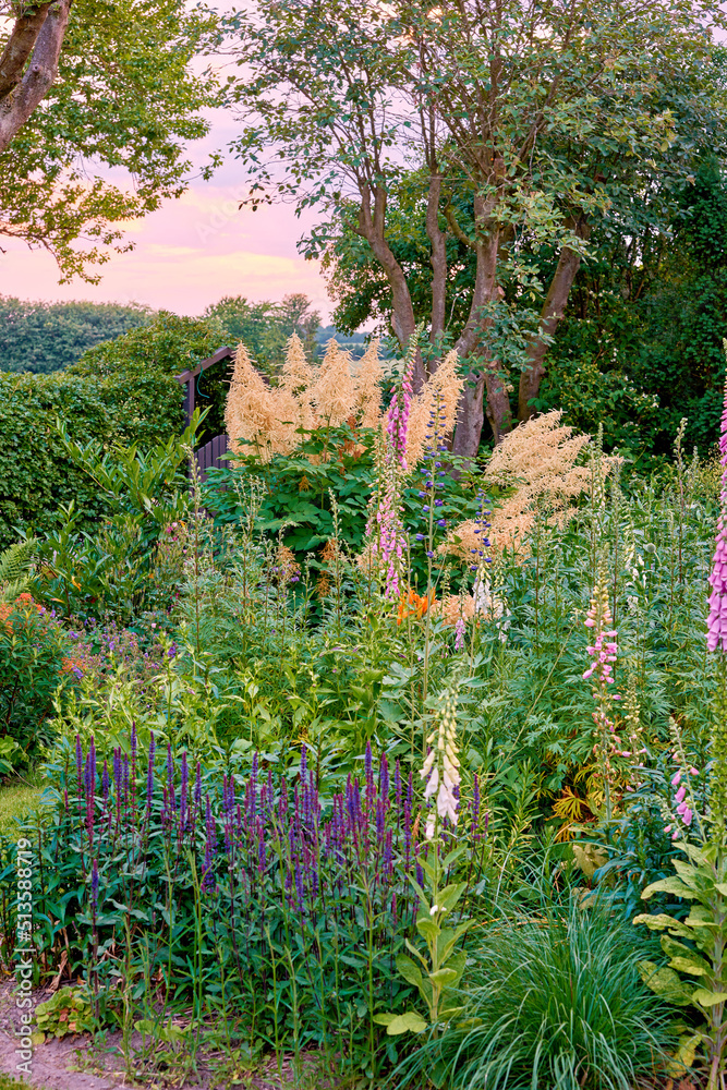 A landscape view of pink foxglove, yellow foxtail lily, orange tecoma, purple Delphinium, vines, and