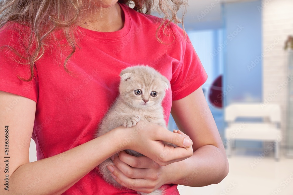 年轻女子抱着可爱猫的画像。可爱的家养宠物概念。