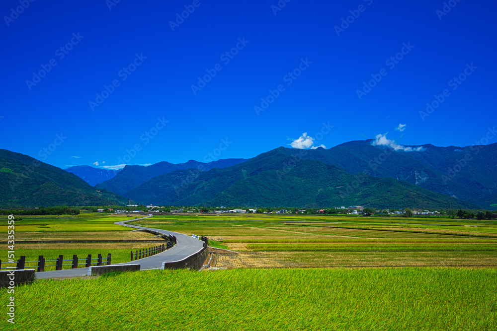 Mr. Brown Avenue. Blue sky, white clouds, rice fields combined into picturesque. East Rift Valley Na