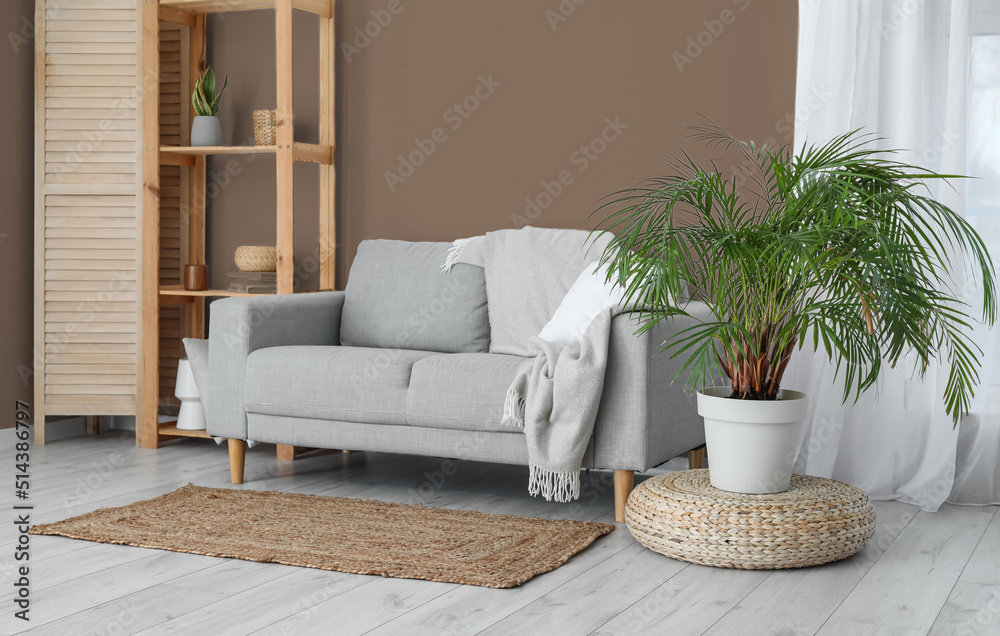 Interior of light living room with grey sofa, shelving unit and houseplant near brown wall