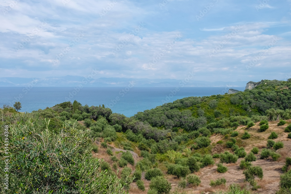 Beautiful view of sea coast with green forest